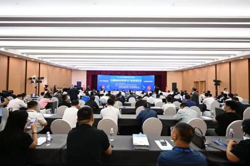 200余名中外專家共話石墨新材料與集成電路芯片設計及服務協同發(fā)展新圖景